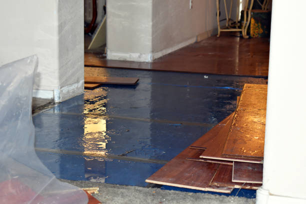 Professional Emergency Water Damage Restoration technician working in Elyria, OH
