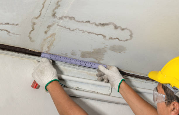 Reliable Emergency Water Damage Restoration contractor in Elyria, OH by Water Damage Irwin